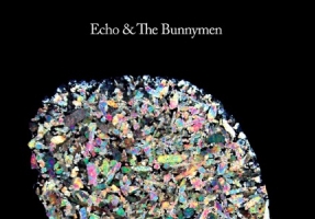 New releases: Echo & The Bunnymen, Depeche Mode, They Might Be Giants, 7 Seconds